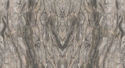 Frappuccino 120x280 Polished (6 мм)