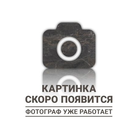Bulgaria Medium Grey 120x120 Polished (6 мм)