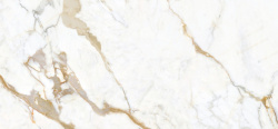 Calacatta Gold Extra 120x280 Polished (6 мм)