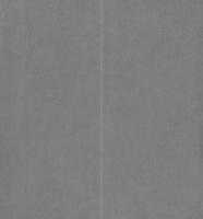 Sandy Grey Dark 120x280 Matt (6 мм)