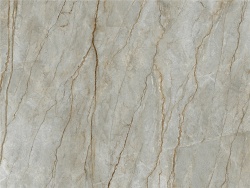 Wild Forest 120x280 Matt (6 мм)