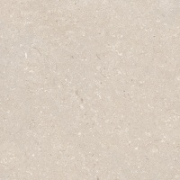 Coral Caliza L 120x120