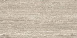 Neptune-YM-F1 60x120 (10 мм)
