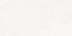 Tardivo N Bianco-M 60x120