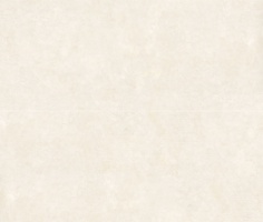 Vela Natural 120x280 Matt (6мм)