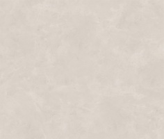 Sassuolo Grey 120x280 Matt (6 мм)