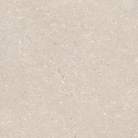 Coral Caliza L 120x120
