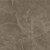 S.S. Grey Lastra 60x60